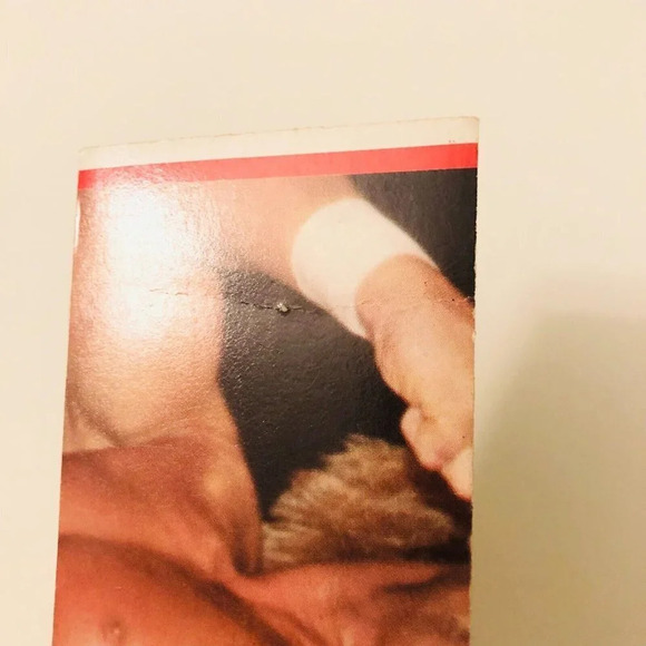 Vtg  1985 WWF Wendi Richter Titan Sports Wrestling Stickers - Picture 13 of 13